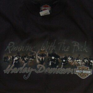 Vintage Men's black large Harley Davidson t-shirt